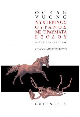 Νυχτερινός Ουρανός με Τραύματα Εξόδου