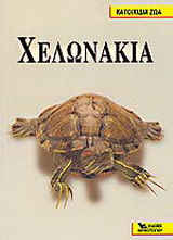 Χελωνάκια