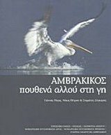 Αμβρακικός