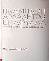 Η καμηλοπάρδαλη τρώει τα φύλλα