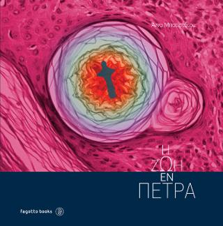 Η ζωή εν πέτρα