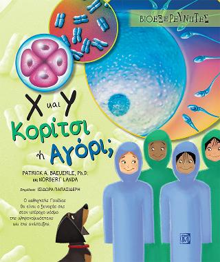 Χ και Υ Κορίτσι ή Αγόρι