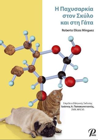 Η Παχυσαρκία στον Σκύλο και στη Γάτα