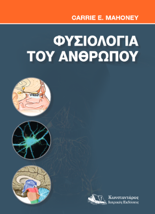 Φυσιολογία του Ανθρώπου