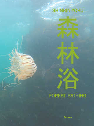 Shinrin-yoku – Forest bathing