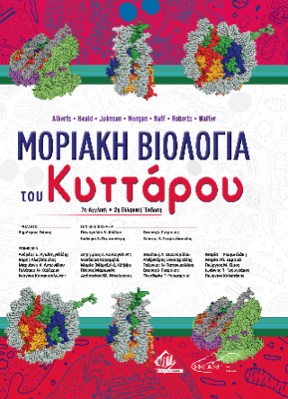 Μοριακή βιολογία του κυττάρου