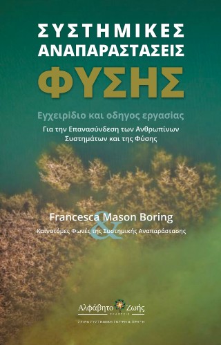 Συστημικές αναπαράστασεις φύσης