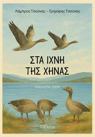 Στα ίχνη της χήνας