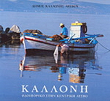 Καλλονή