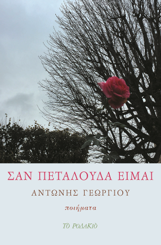 Σαν πεταλούδα είμαι