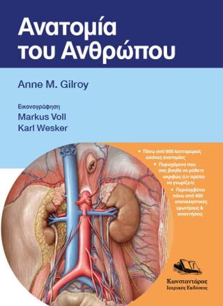 Ανατομία του Ανθρώπου