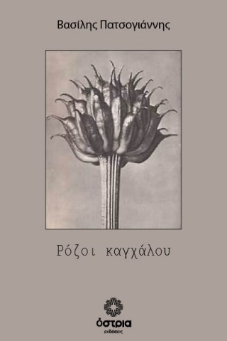 Ρόζοι καγχάλου
